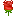 🌹