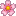 🌸
