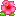 🌺