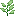 🌿